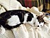 View full size picture