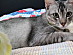 View full size picture