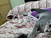 View full size picture