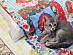 View full size picture