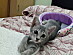 View full size picture