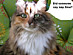 View full size picture