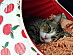 View full size picture