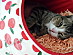 View full size picture