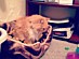 View full size picture
