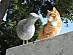 View full size picture