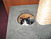 View full size picture