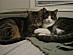 View full size picture