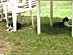 View full size picture