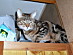 View full size picture