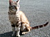 View full size picture