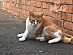 View full size picture