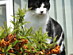 View full size picture