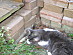 View full size picture