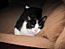 View full size picture
