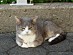 View full size picture