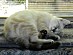 View full size picture