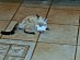 View full size picture