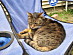 View full size picture
