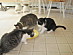 View full size picture