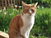 View full size picture