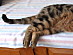 View full size picture