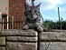 View full size picture