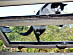 View full size picture