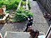 View full size picture