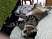 View full size picture