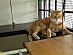 View full size picture