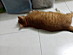 View full size picture