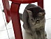 View full size picture