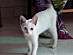 View full size picture