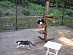 View full size picture