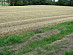 View full size picture