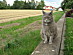 View full size picture