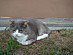View full size picture