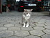 View full size picture