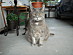 View full size picture