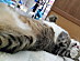 View full size picture