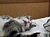 View full size picture