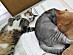 View full size picture