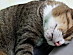 View full size picture