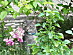View full size picture