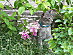 View full size picture
