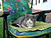 View full size picture