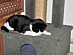 View full size picture