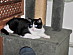 View full size picture