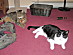 View full size picture